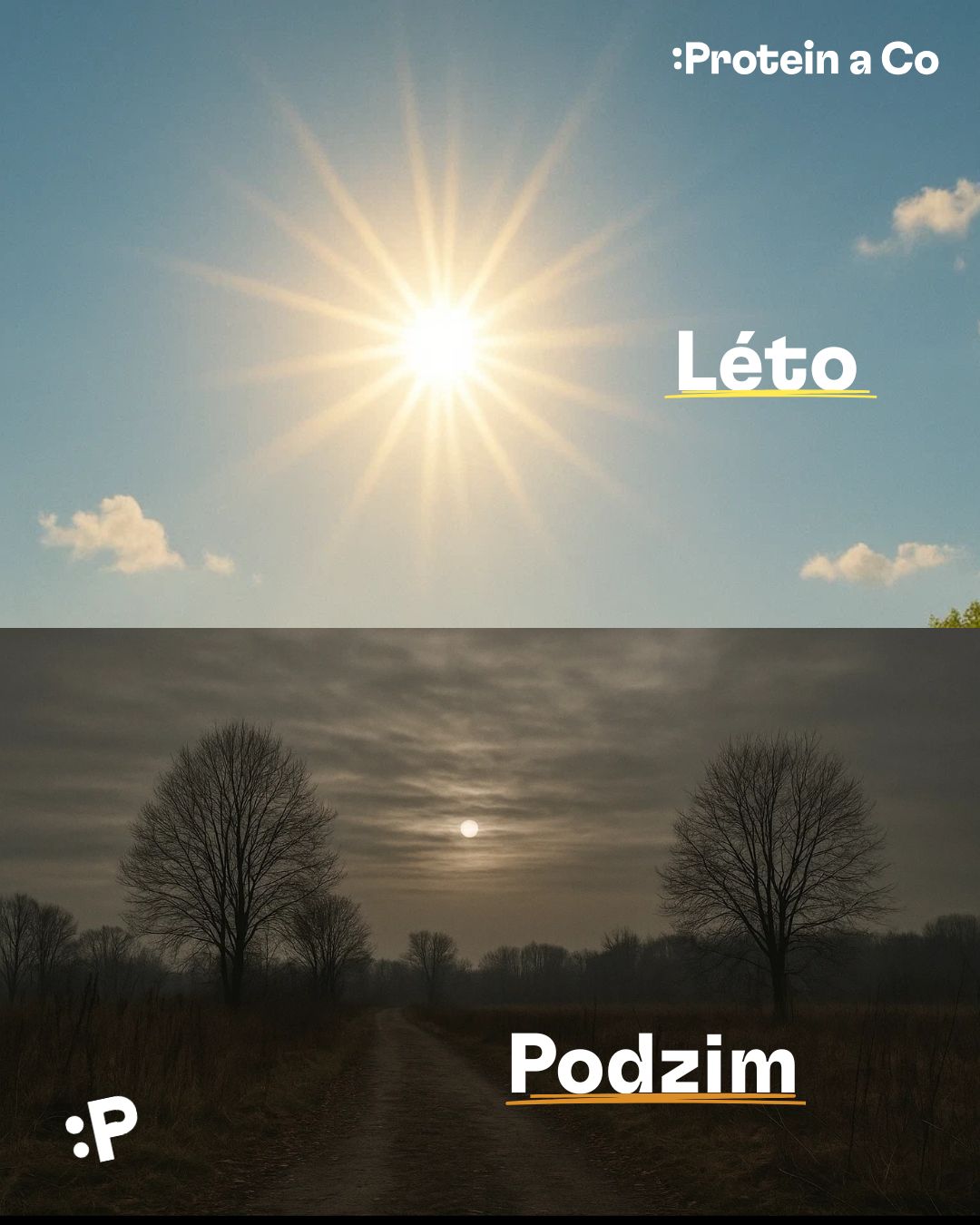 Vitamin-D-slunce-ktere-nam-chybi-2-clanek-proteinaco